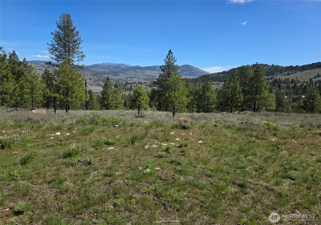 Photo 1 of Land for sale at 144 Reevas Basin Rd, Tonasket, WA 98855 | MLS# NWM2527890 | Listing updated on 2026-09-21