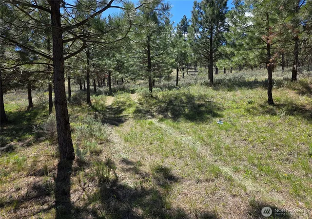 Photo 2 of Land for sale at 144 Reevas Basin Rd, Tonasket, WA 98855 | MLS# NWM2527890 | Listing updated on 2026-09-21