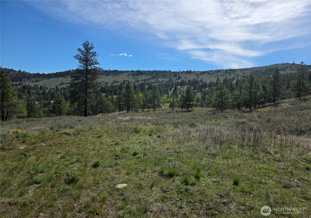 Photo 3 of Land for sale at 144 Reevas Basin Rd, Tonasket, WA 98855 | MLS# NWM2527890 | Listing updated on 2026-09-21