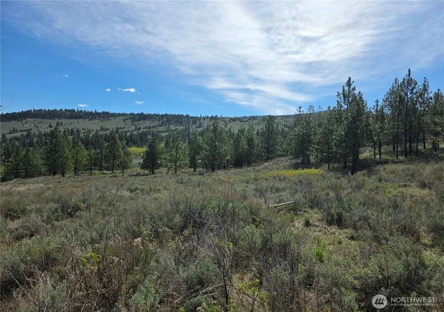 Photo 3 of Land for sale at 144 Reevas Basin Rd, Tonasket, WA 98855 | MLS# NWM2527890 | Listing updated on 2026-09-21