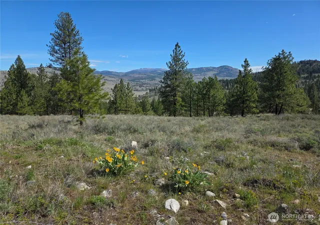 Photo 4 of Land for sale at 144 Reevas Basin Rd, Tonasket, WA 98855 | MLS# NWM2527890 | Listing updated on 2026-09-21