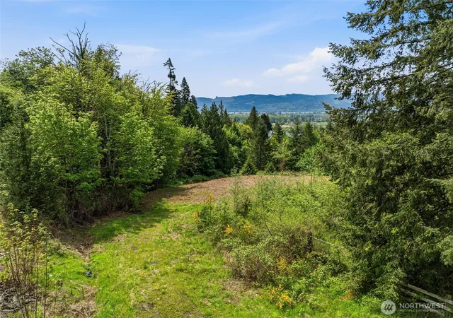 Photo 4 of Land for sale at 0 E State Route 4, Cathlamet, WA 98612 | MLS# NWM2528024 | Listing updated on 2026-09-21