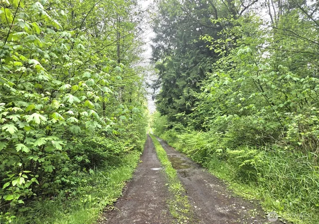 Photo 1 of Sale Pending at 36610 48th Avenue S, Roy, WA 98580 | MLS# NWM2528168 | Listing updated on 2026-09-29
