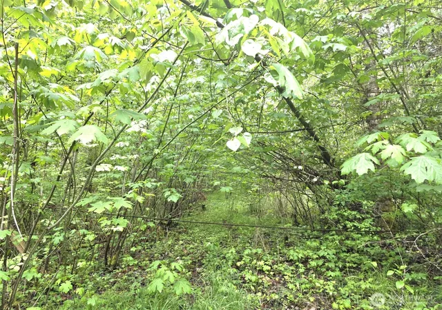 Photo 2 of Sale Pending at 36610 48th Avenue S, Roy, WA 98580 | MLS# NWM2528168 | Listing updated on 2026-09-29
