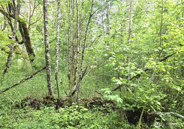 Photo 3 of Sale Pending at 36610 48th Avenue S, Roy, WA 98580 | MLS# NWM2528168 | Listing updated on 2026-09-29