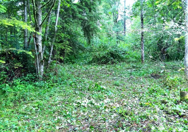 Photo 3 of Sale Pending at 36610 48th Avenue S, Roy, WA 98580 | MLS# NWM2528168 | Listing updated on 2026-09-29