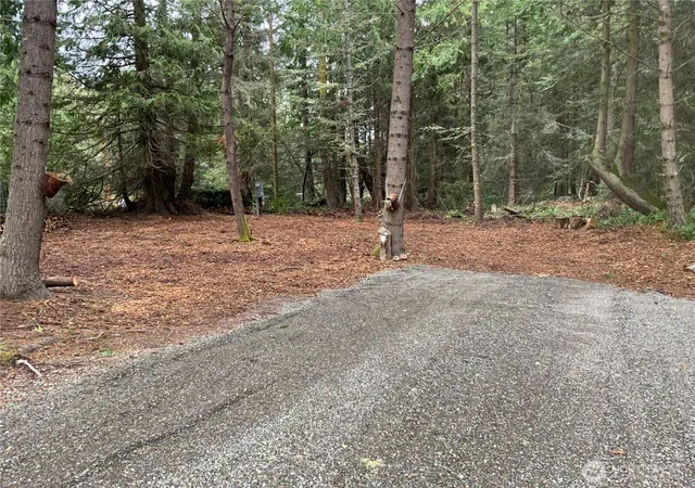 Photo 4 of Land for sale at 4853 Cape George Rd, Port Townsend, WA 98368 | MLS# NWM2528268 | Listing updated on 2026-09-21