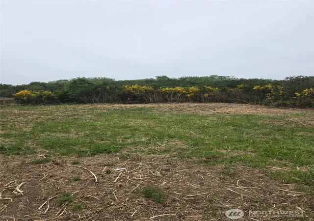 Photo 1 of Land for sale at 379 Ocean Shrs Blvd Nw, Ocean Shores, WA 98569 | MLS# NWM2528301 | Listing updated on 2026-09-21