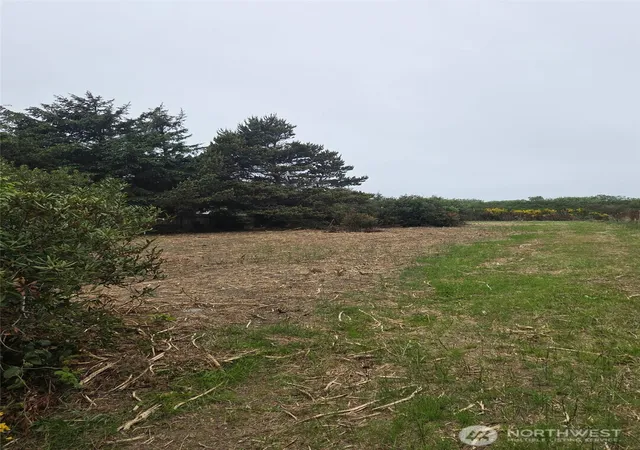 Photo 3 of Land for sale at 379 Ocean Shrs Blvd NW, Ocean Shores, WA 98569 | MLS# NWM2528301 | Listing updated on 2026-09-21