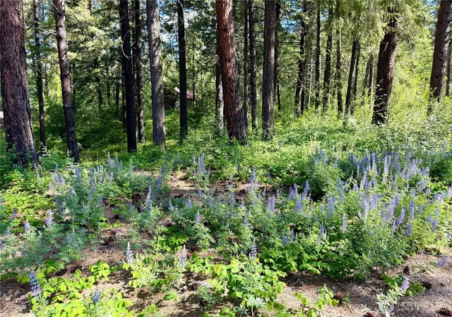 Photo 1 of Land for sale at 11 Highland Meadows, Winthrop, WA 98862 | MLS# NWM2528416 | Listing updated on 2026-09-21