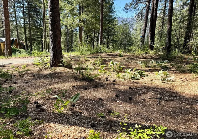 Photo 2 of Land for sale at 11 Highland Meadows, Winthrop, WA 98862 | MLS# NWM2528416 | Listing updated on 2026-09-21