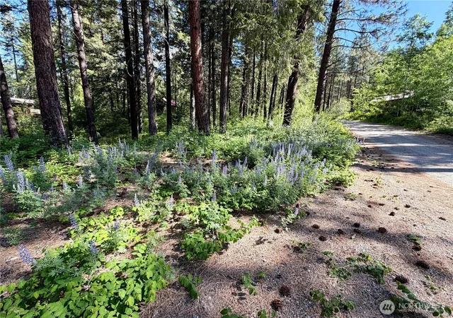 Photo 3 of Land for sale at 11 Highland Meadows, Winthrop, WA 98862 | MLS# NWM2528416 | Listing updated on 2026-09-21