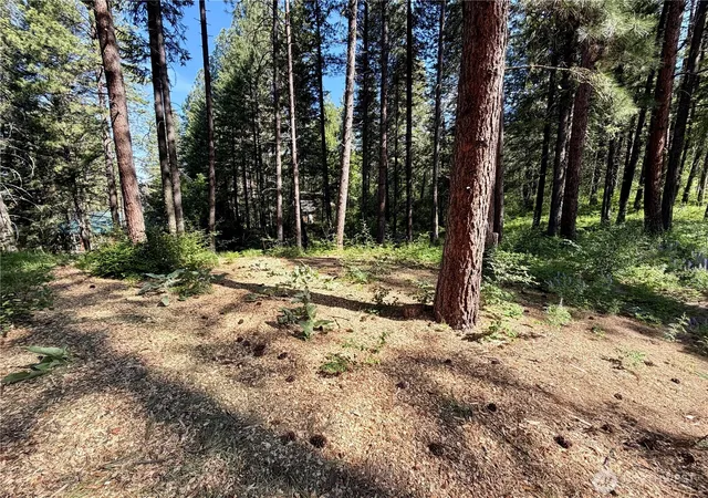 Photo 3 of Land for sale at 11 Highland Meadows, Winthrop, WA 98862 | MLS# NWM2528416 | Listing updated on 2026-09-21