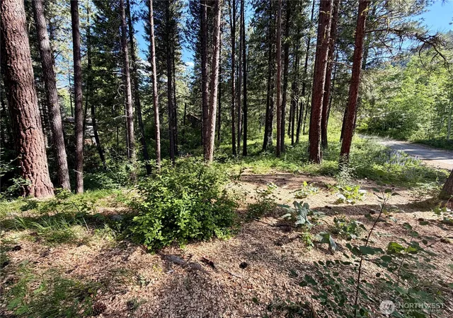 Photo 4 of Land for sale at 11 Highland Meadows, Winthrop, WA 98862 | MLS# NWM2528416 | Listing updated on 2026-09-21
