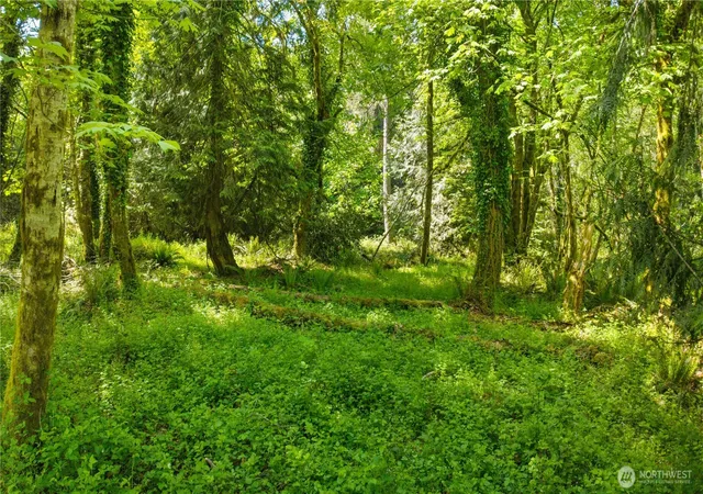Photo 3 of Land for sale at (Undisclosed), Longbranch, WA 98351 | MLS# NWM2528446 | Listing updated on 2026-09-21
