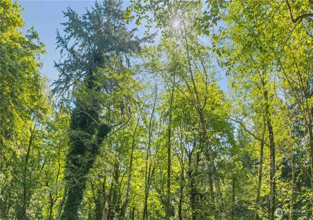 Photo 4 of Land for sale at (Undisclosed), Longbranch, WA 98351 | MLS# NWM2528446 | Listing updated on 2026-09-21
