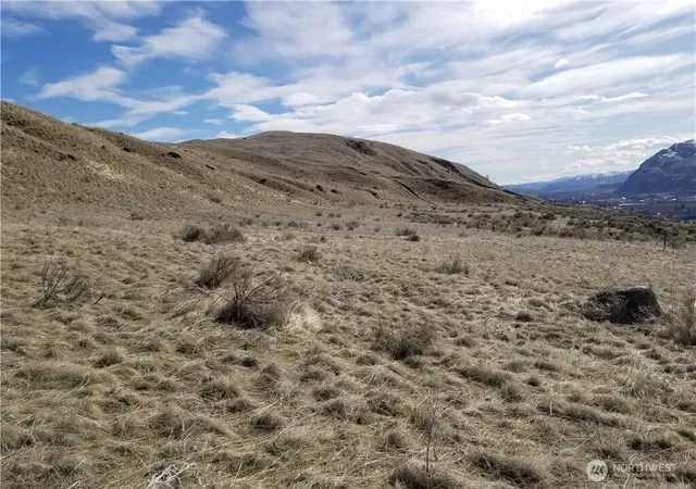 Photo 3 of Land for sale at 0 Nicholson Rd, Tonasket, WA 98855 | MLS# NWM2528467 | Listing updated on 2026-09-21