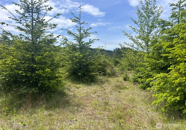 Photo 3 of Land for sale at 0 Eden Valley Rd, Rosburg, WA 98643 | MLS# NWM2528485 | Listing updated on 2026-09-21