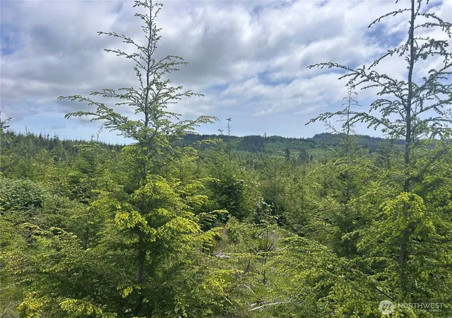 Photo 3 of Land for sale at 0 Eden Valley Rd, Rosburg, WA 98643 | MLS# NWM2528485 | Listing updated on 2026-09-21