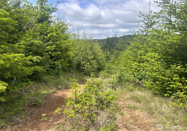 Photo 4 of Land for sale at 0 Eden Valley Rd, Rosburg, WA 98643 | MLS# NWM2528485 | Listing updated on 2026-09-21