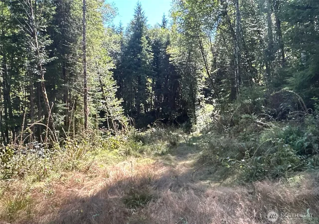 Photo 3 of Land for sale at 1 Eden Valley Rd, Rosburg, WA 98643 | MLS# NWM2528487 | Listing updated on 2026-09-21