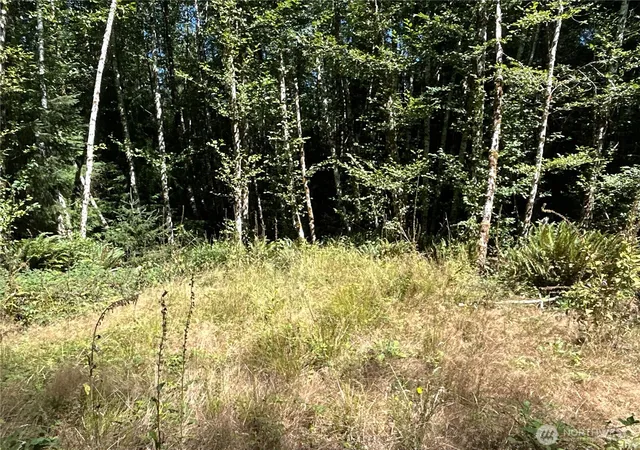Photo 3 of Land for sale at 1 Eden Valley Rd, Rosburg, WA 98643 | MLS# NWM2528487 | Listing updated on 2026-09-21