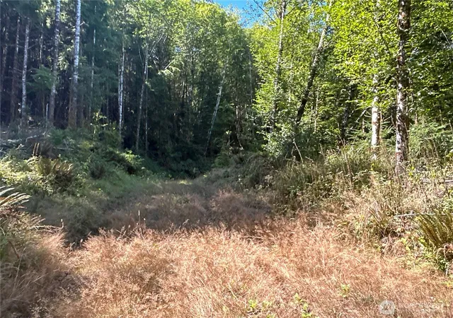 Photo 4 of Land for sale at 1 Eden Valley Rd, Rosburg, WA 98643 | MLS# NWM2528487 | Listing updated on 2026-09-21