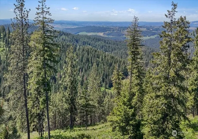 Photo 3 of Land for sale at 18 Xxx Miner Rd, Mead, WA 99021 | MLS# NWM2528740 | Listing updated on 2026-09-21