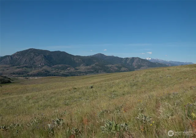 Land for sale at 32 Maggies Rd, Twisp, WA 98856 | MLS# NWM2528772