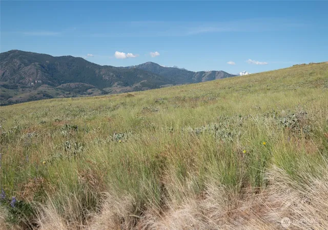 Photo 3 of Land for sale at 32 Maggies Rd, Twisp, WA 98856 | MLS# NWM2528772 | Listing updated on 2026-09-21