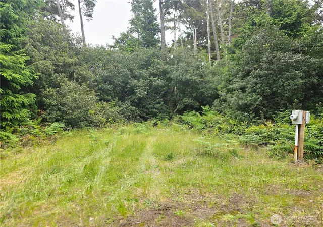 Photo 3 of Land for sale at 30808 J Pl, Ocean Park, WA 98640 | MLS# NWM2528790 | Listing updated on 2026-09-21