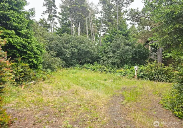 Photo 3 of Land for sale at 30808 J Pl, Ocean Park, WA 98640 | MLS# NWM2528790 | Listing updated on 2026-09-21