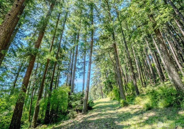 Photo 2 of Land for sale at 521 Vusario Ln, Eastsound, WA 98245 | MLS# NWM2528818 | Listing updated on 2026-09-21