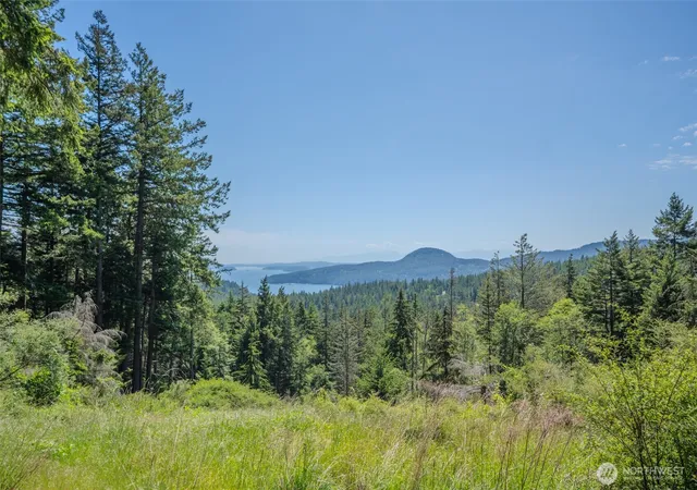 Photo 3 of Land for sale at 521 Vusario Ln, Eastsound, WA 98245 | MLS# NWM2528818 | Listing updated on 2026-09-21