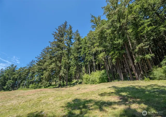Photo 4 of Land for sale at 521 Vusario Ln, Eastsound, WA 98245 | MLS# NWM2528818 | Listing updated on 2026-09-21