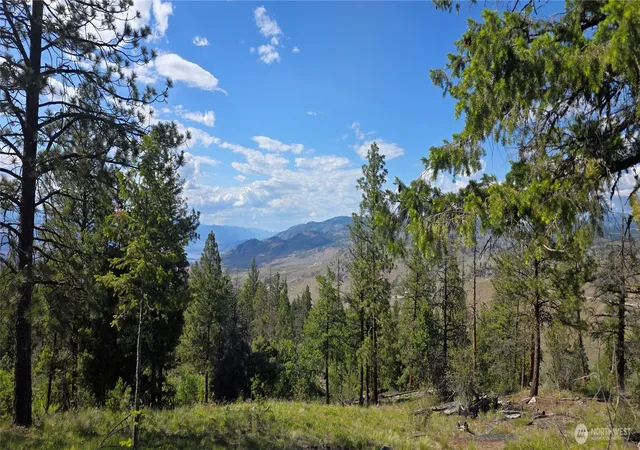 Photo 2 of Land for sale at 385 W Corral, Oroville, WA 98844 | MLS# NWM2528840 | Listing updated on 2026-09-21