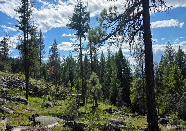 Photo 3 of Land for sale at 385 W Corral, Oroville, WA 98844 | MLS# NWM2528840 | Listing updated on 2026-09-21