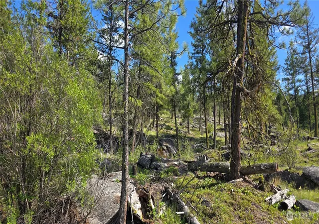 Photo 3 of Land for sale at 385 W Corral, Oroville, WA 98844 | MLS# NWM2528840 | Listing updated on 2026-09-21