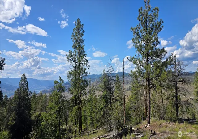 Photo 4 of Land for sale at 385 W Corral, Oroville, WA 98844 | MLS# NWM2528840 | Listing updated on 2026-09-21