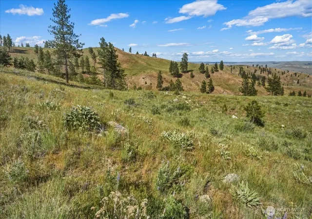 Photo 3 of Land for sale at 6575 Union Valley Rd, Chelan, WA 98816 | MLS# NWM2528871 | Listing updated on 2026-09-21