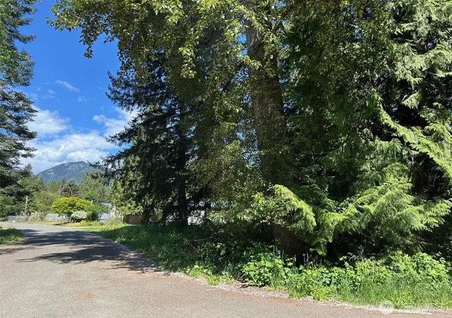 Photo 1 of Land for sale at 201 Morgan Ln, Brinnon, WA 98320 | MLS# NWM2528912 | Listing updated on 2026-09-21