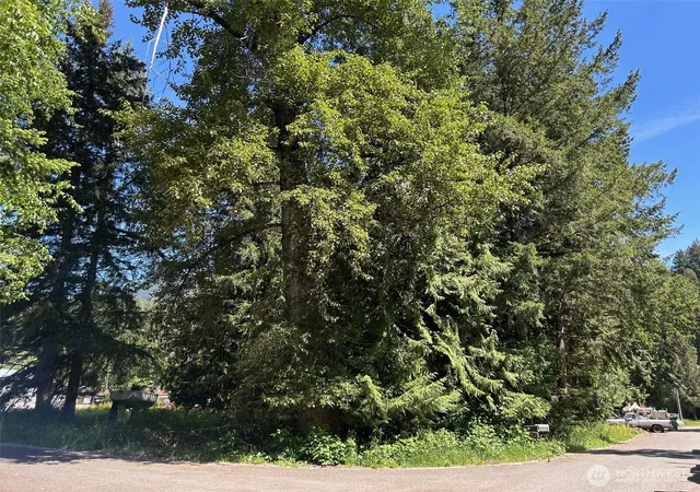 Photo 2 of Land for sale at 201 Morgan Ln, Brinnon, WA 98320 | MLS# NWM2528912 | Listing updated on 2026-09-21