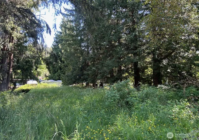 Photo 3 of Land for sale at 201 Morgan Ln, Brinnon, WA 98320 | MLS# NWM2528912 | Listing updated on 2026-09-21