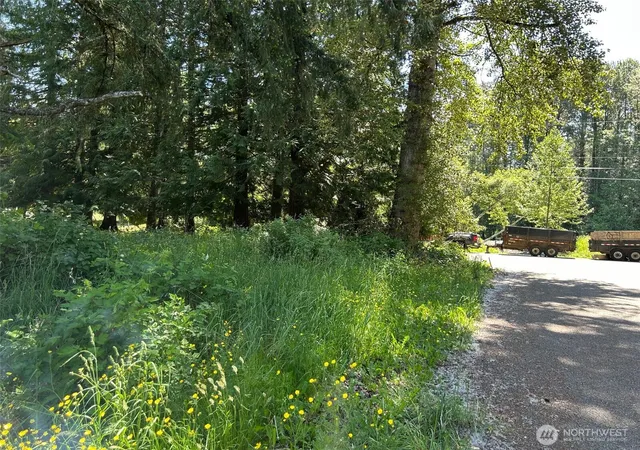 Photo 3 of Land for sale at 201 Morgan Ln, Brinnon, WA 98320 | MLS# NWM2528912 | Listing updated on 2026-09-21