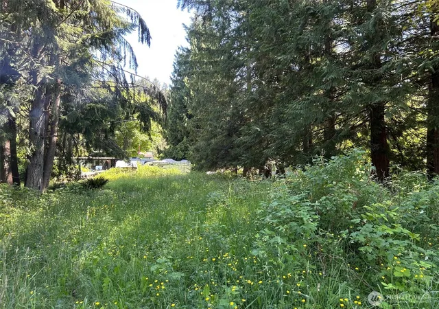 Photo 4 of Land for sale at 201 Morgan Ln, Brinnon, WA 98320 | MLS# NWM2528912 | Listing updated on 2026-09-21