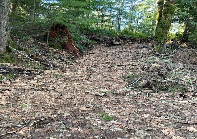 Photo 2 of Land for sale at 0 N Dow Ridge, Hoodsport, WA 98548 | MLS# NWM2529126 | Listing updated on 2026-09-21