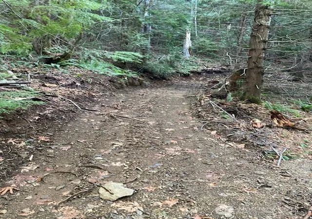 Photo 3 of Land for sale at 0 N Dow Ridge, Hoodsport, WA 98548 | MLS# NWM2529126 | Listing updated on 2026-09-21
