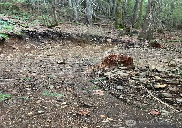 Photo 3 of Land for sale at 0 N Dow Ridge, Hoodsport, WA 98548 | MLS# NWM2529126 | Listing updated on 2026-09-21