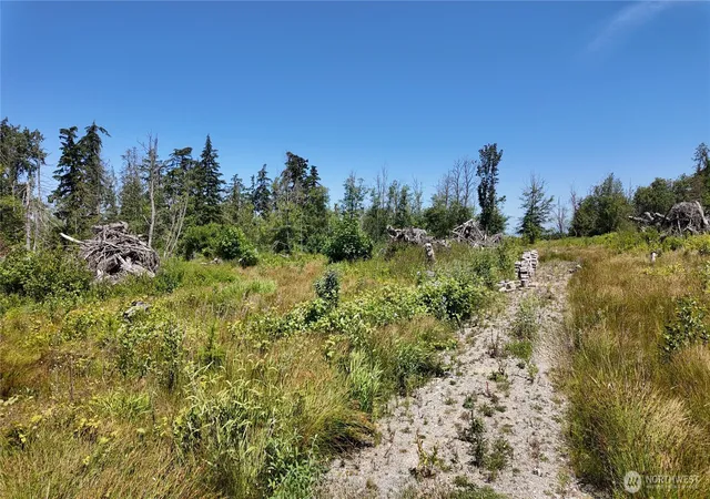 Land for sale at 1 Seaview Ln, Mount Vernon, WA 98273 | MLS# NWM2529210
