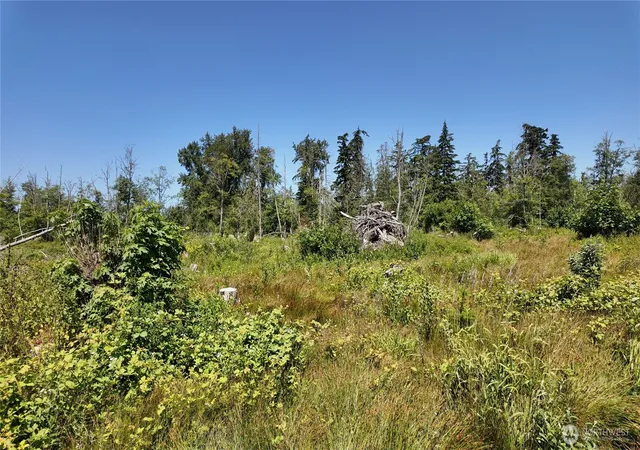 Photo 2 of Land for sale at 1 Seaview Ln, Mount Vernon, WA 98273 | MLS# NWM2529210 | Listing updated on 2026-09-21